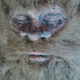 Illustration for article titled Is this really the face of Bigfoot?